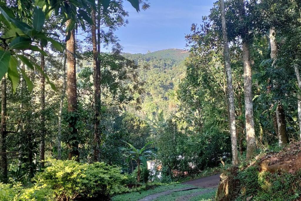 Coffee Camp Home Stay With Tree House Kattappana Ngoại thất bức ảnh