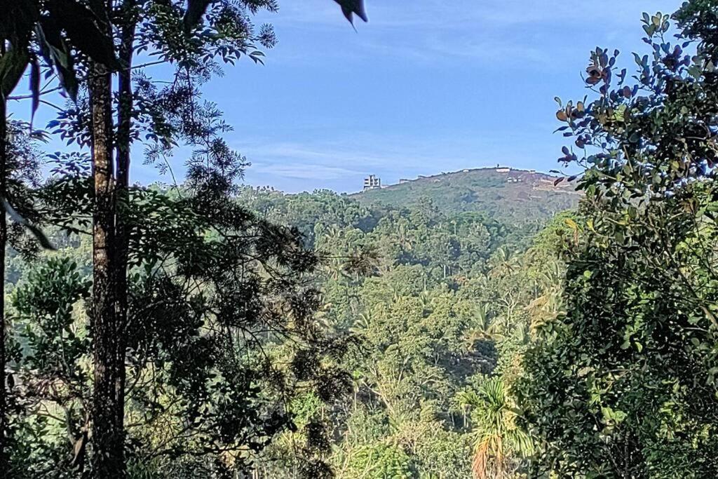 Coffee Camp Home Stay With Tree House Kattappana Ngoại thất bức ảnh