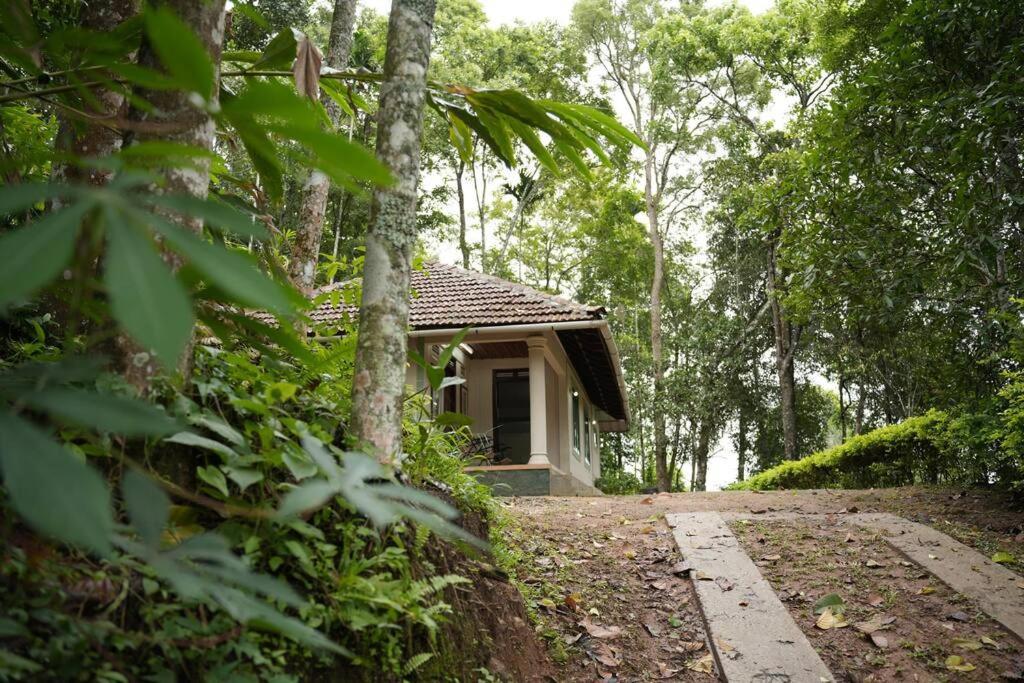 Coffee Camp Home Stay With Tree House Kattappana Ngoại thất bức ảnh