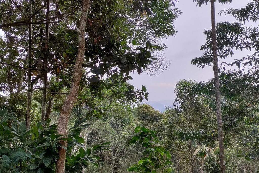 Coffee Camp Home Stay With Tree House Kattappana Ngoại thất bức ảnh