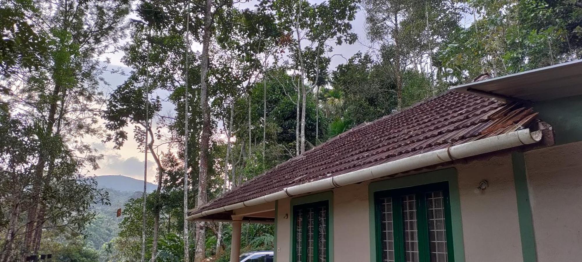 Coffee Camp Home Stay With Tree House Kattappana Ngoại thất bức ảnh