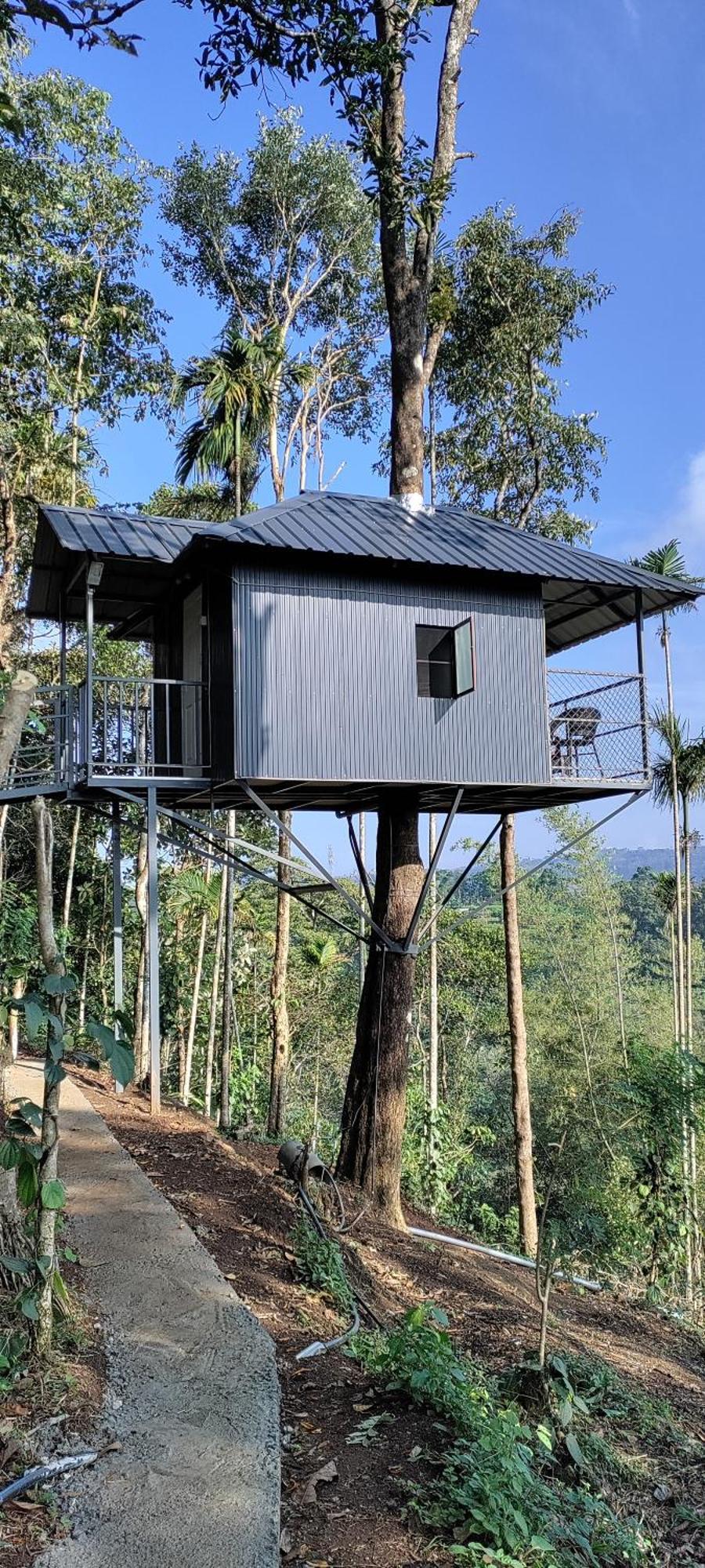 Coffee Camp Home Stay With Tree House Kattappana Ngoại thất bức ảnh