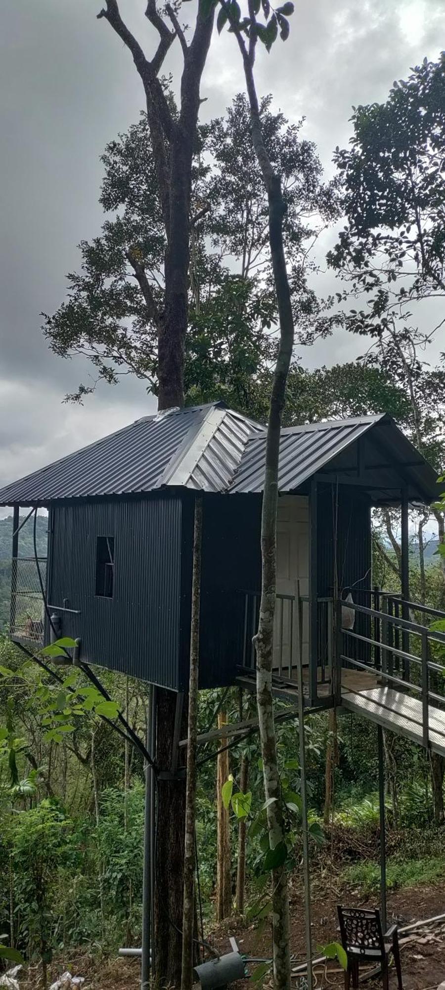 Coffee Camp Home Stay With Tree House Kattappana Ngoại thất bức ảnh