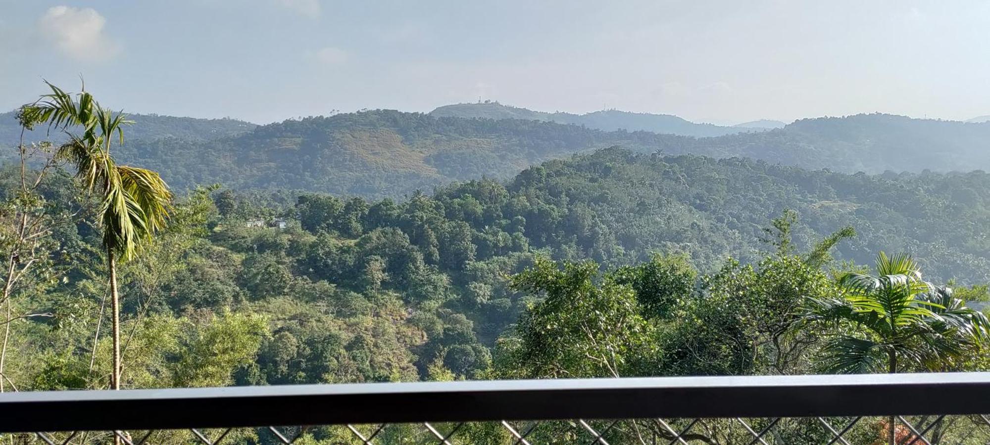 Coffee Camp Home Stay With Tree House Kattappana Ngoại thất bức ảnh